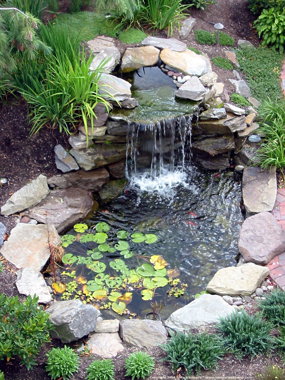 Cute Water Lilies And Koi Fish In Modern Garden Pond Idea With Rock Line Plus Attractive Waterfall – Inis Design – Jeanette’s