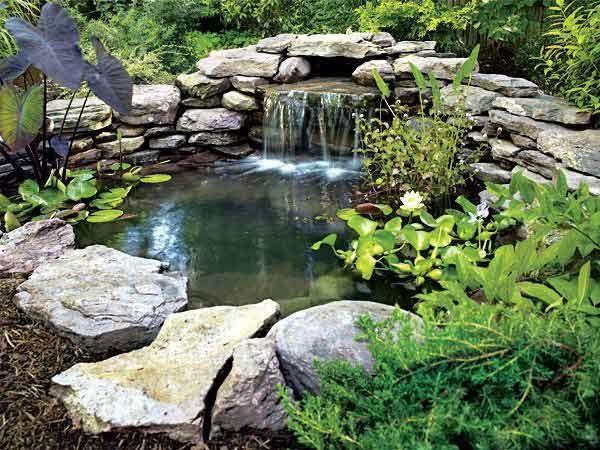 Here’s everything you need to know to build your own backyard pond. Hundreds of thousands of homeowners already have them and