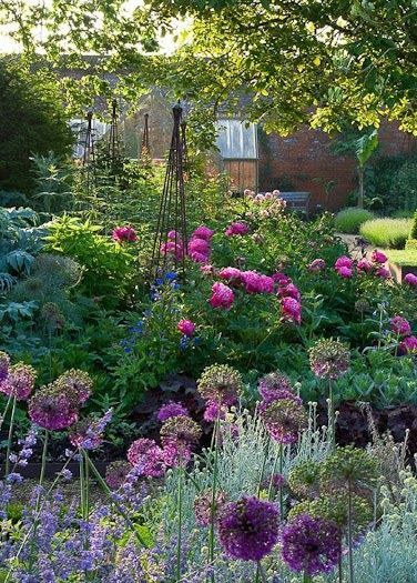 Judy’s Cottage Garden: Garden Design Basics