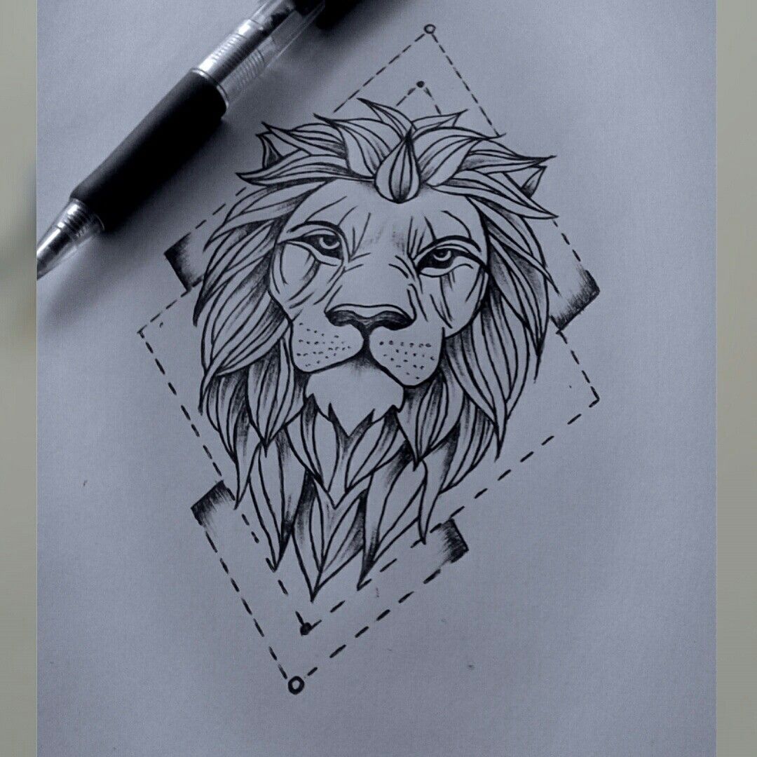 Lion drawing