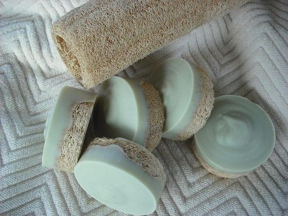 Peppermint / Tea Tree Loofah Foot Soap / Scrub by JOANSGARDENS