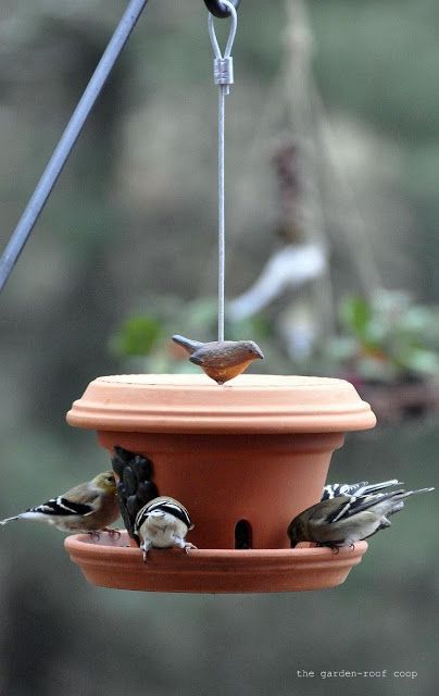 Terracotta pot bird feeder, very cute and I can make many of them and color I want.!
