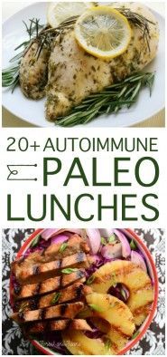 20+ Autoimmune Paleo Lunches