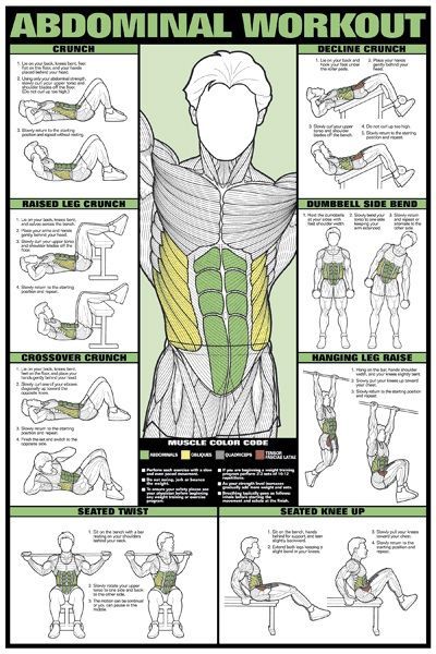 Building a strong abdominal core can help for staying in a wrestling stance for a longer period of time.