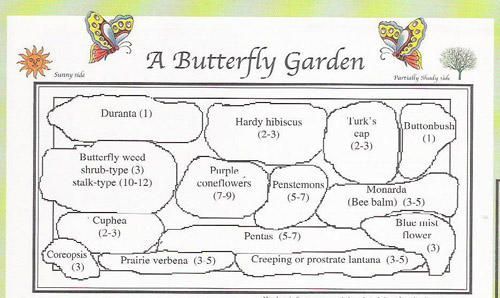 Butterfly garden plan