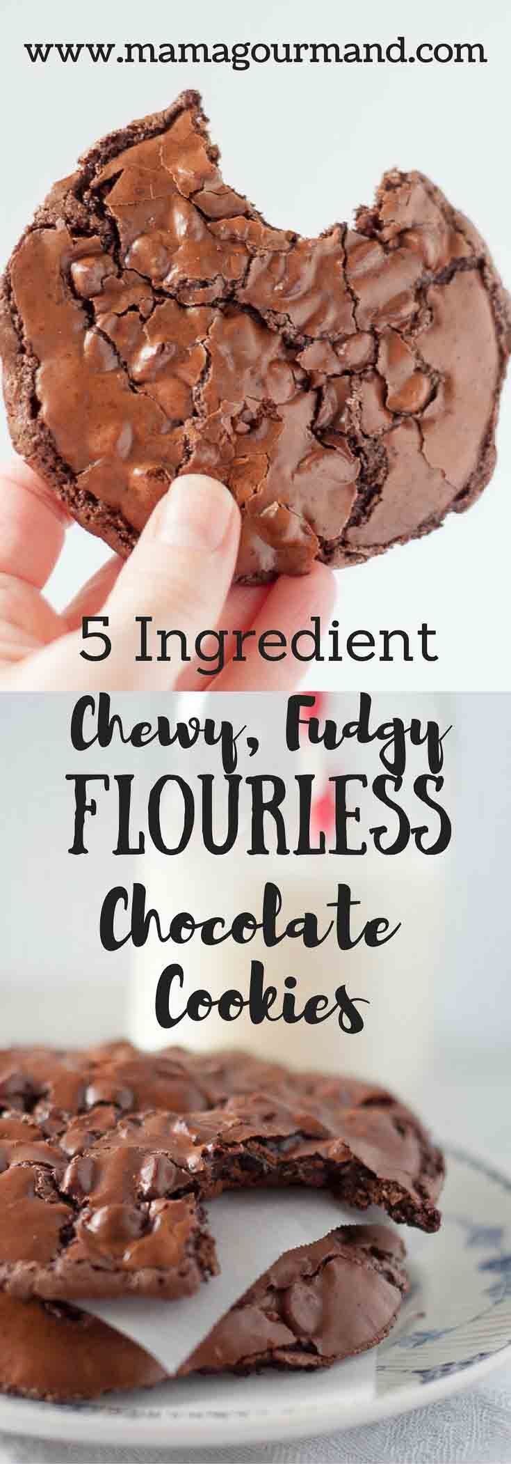 Chewy, Fudgy Flourless Chocolate Cookies are a naturally gluten free chocolate cookie with only 5 ingredients.