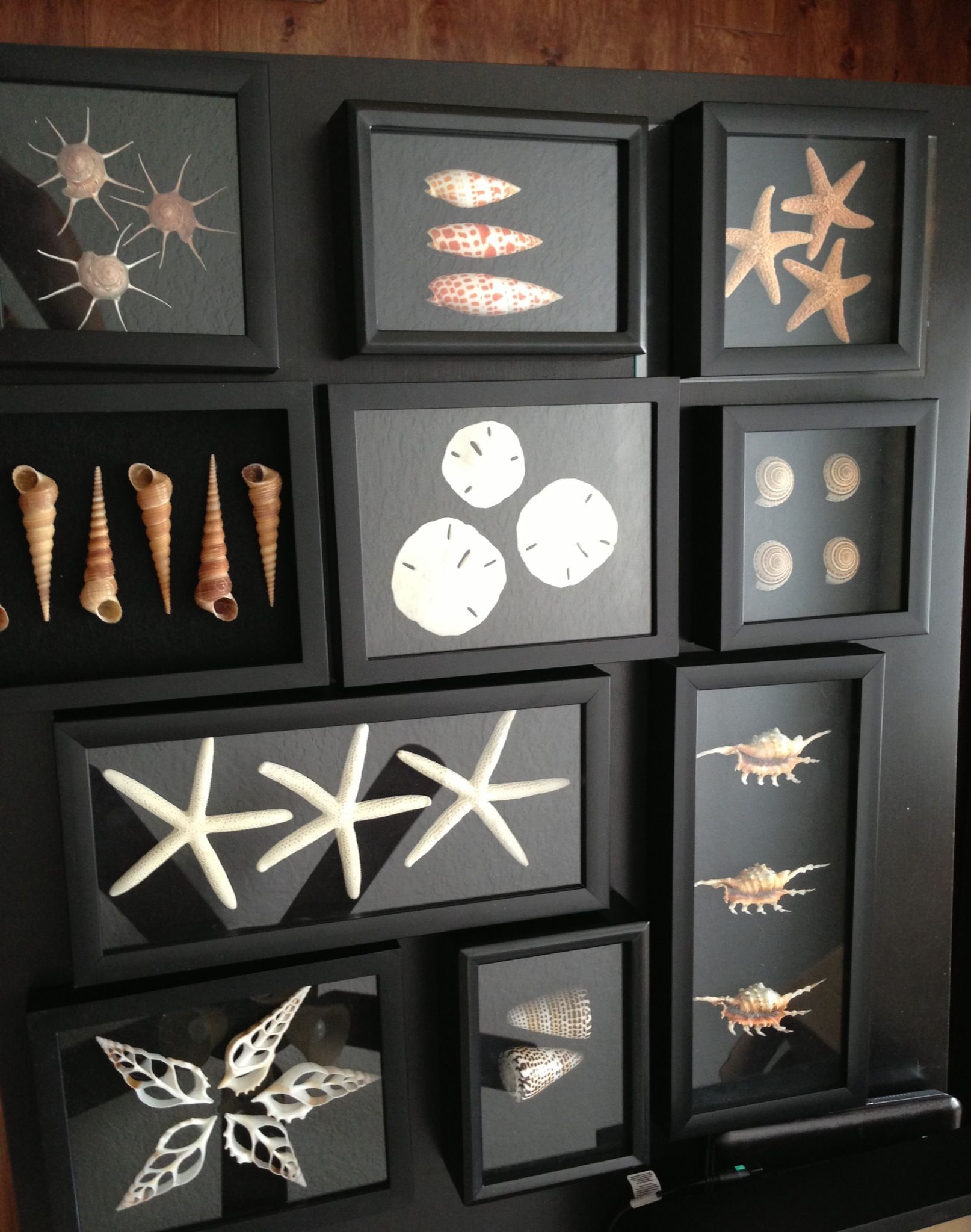 Classy shell artwork for the walls. These were easy to  make – purchased an assortment of black shadow boxes in different sizes