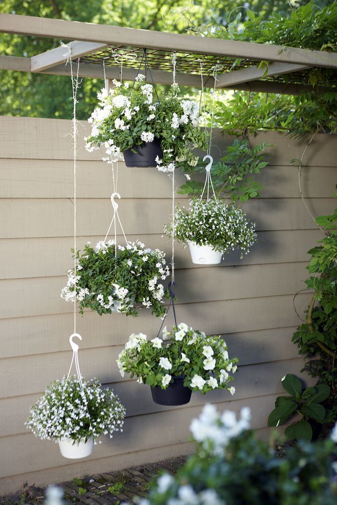 Ideas for the garden. I love this idea of hanging all white flowers in one area. Classic yet modern. Love!