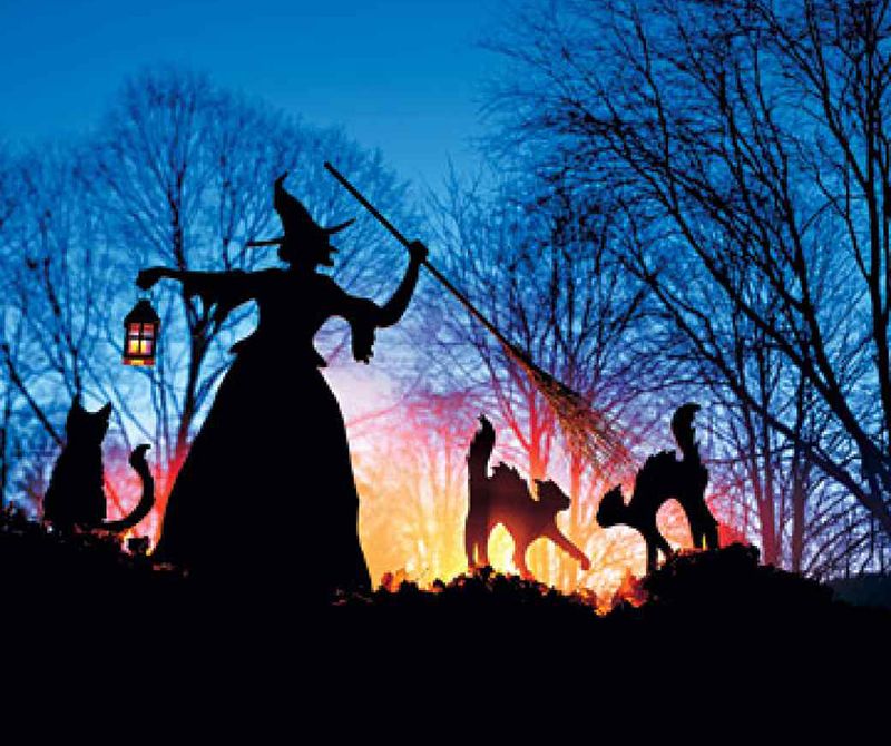 Sinister Witch and Ferocious Felines Outdoor Decoration -   Outdoor Halloween Decor Ideas