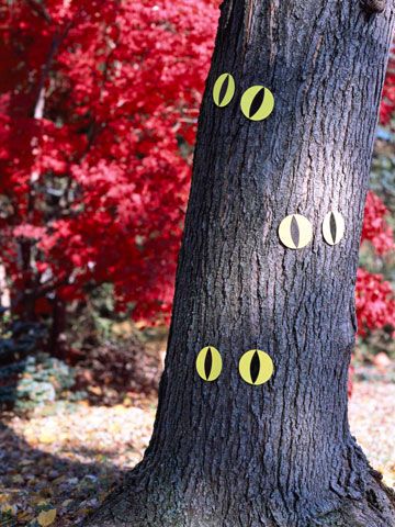 Eyes Are Everywhere -   Outdoor Halloween Decor Ideas