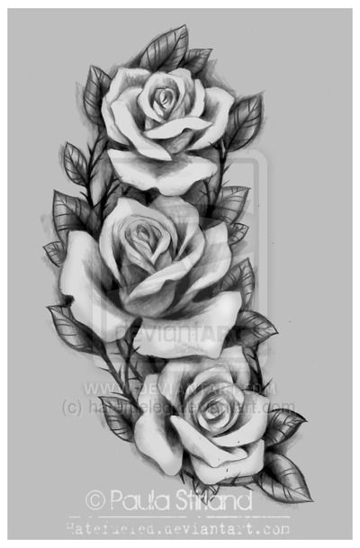 Roses for Amber by hatefueled.deviantart.com on @DeviantArt