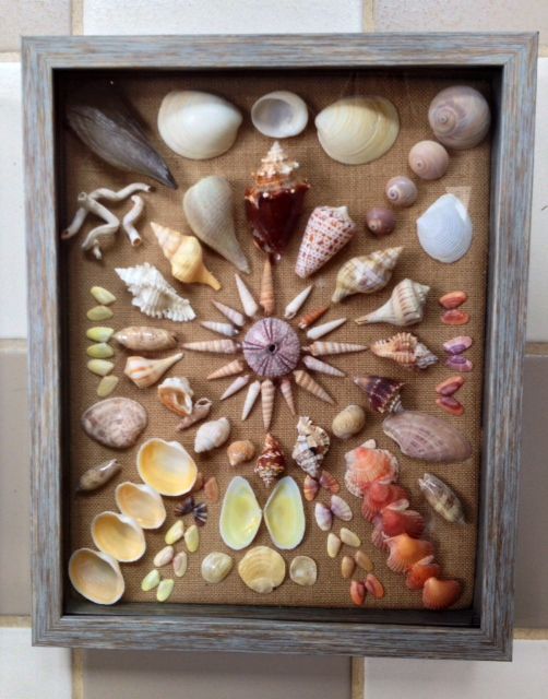 Sanibel shell shadowbox made by Jane Kintzi