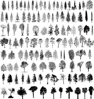 Third from bottom, fourth from left Tree silhouettes vector 156485 – by dylandog on VectorStock®: