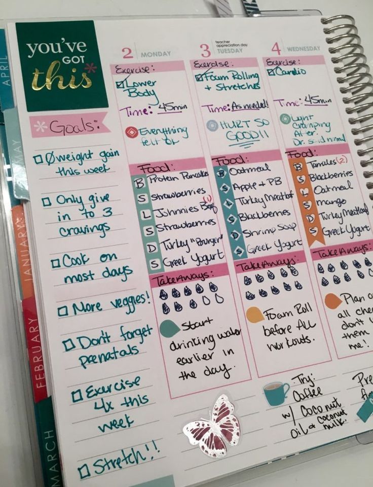 Erin Condren Life Planner Fitness Tracking While Pregnant