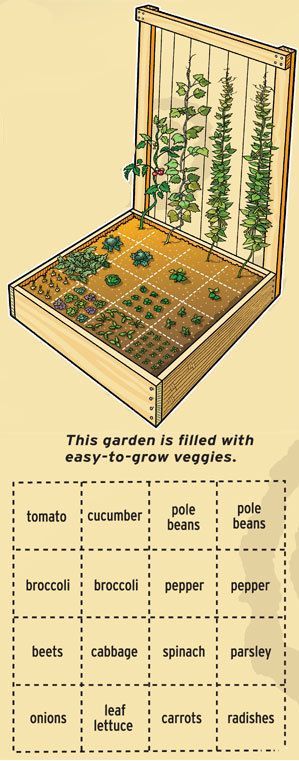 The basic square-foot gardening are: 1. Arrange your garden in squares, not rows. Lay it out in 4′x4′ planting areas. 2. Build