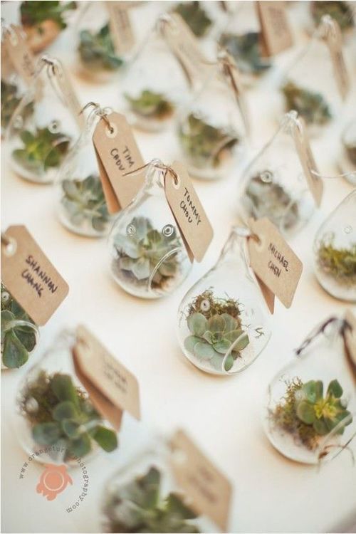 The Ultimate Succulent Wedding Guide – Favors