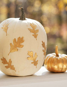 white pumpkins with gold leaves for autumn