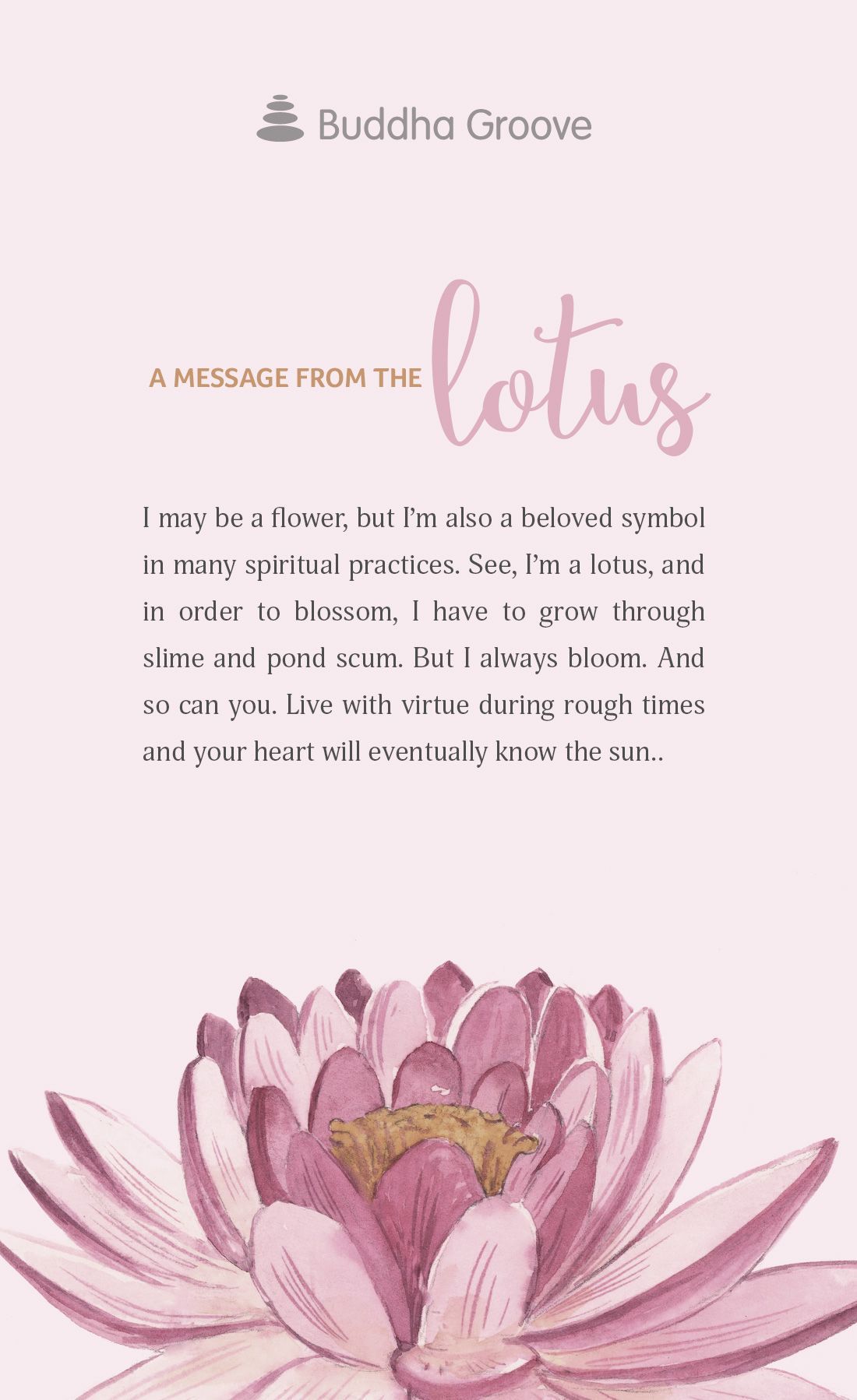 A Message from the Lotus