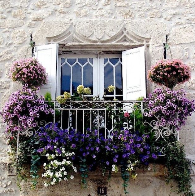 Even if all your apartment has is a tiny Juliet balcony, you can still fill it with lots of plants!