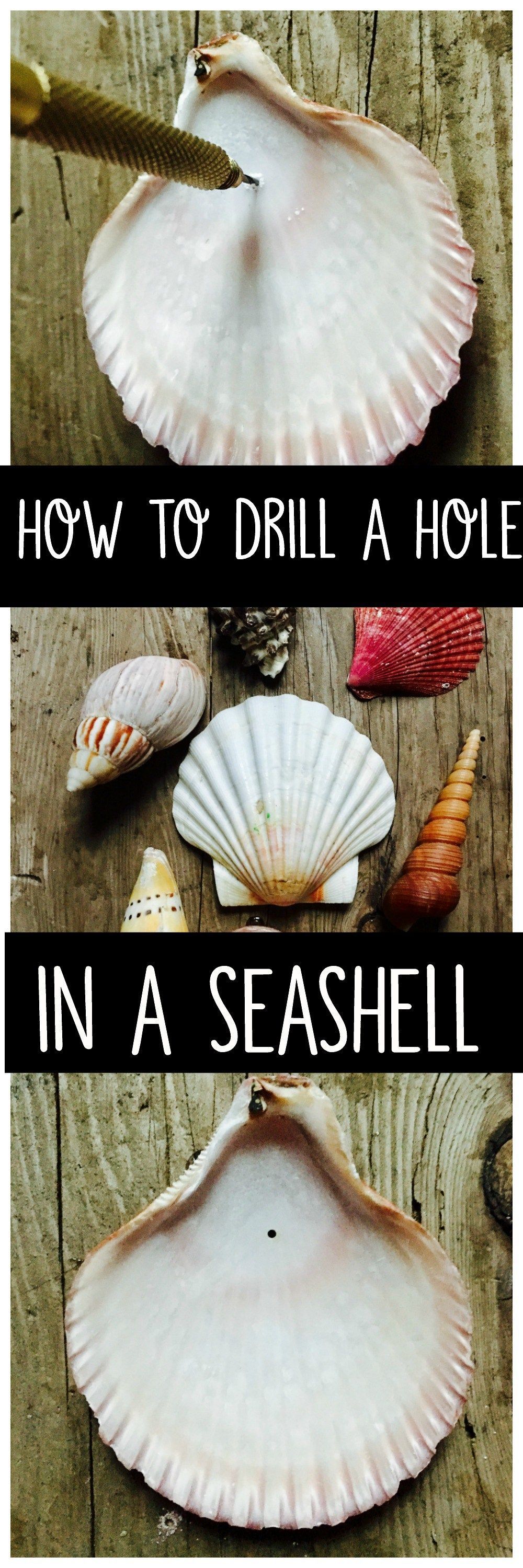 Learn how to drill a hole in a seashell with a simple tool you can purchase from the craft or hardware store. Make crafts or