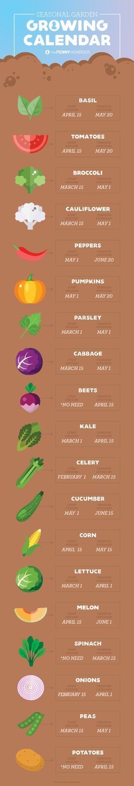 Planting a vegetable garden is a fantastic way to save money on groceries — as long as you make sure to plant the most