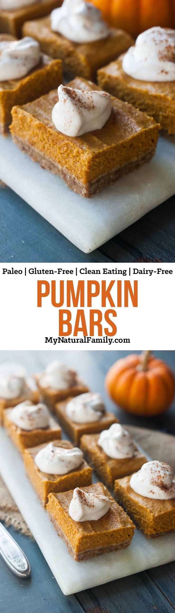 Pumpkin Bars Recipe {Paleo, Gluten-Free, Clean Eating, Dairy-Free} – I’m sick of not eating what everyone else is having, so I’m