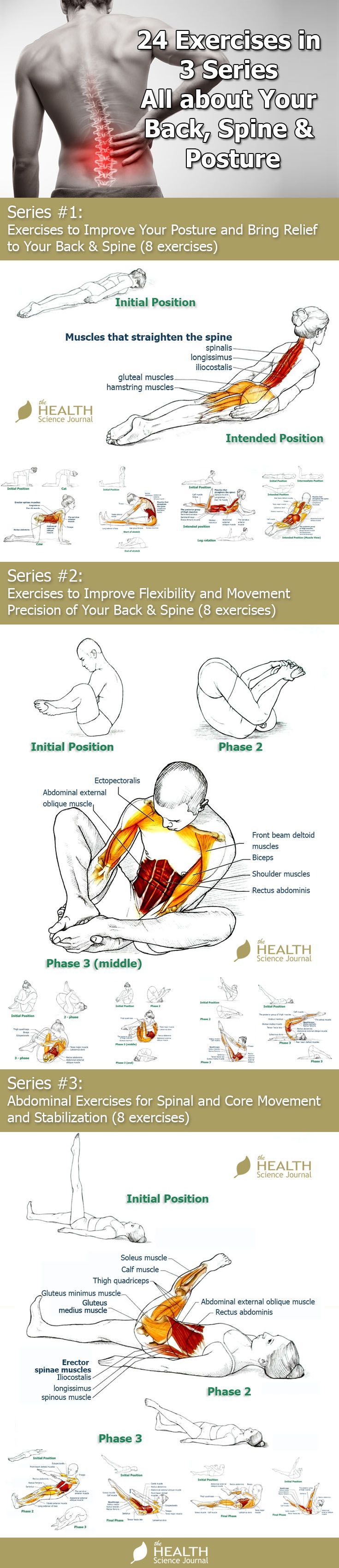 24 Exercises in 3 Series – All about Your Back, Spine & Posture – The Health Science Journal