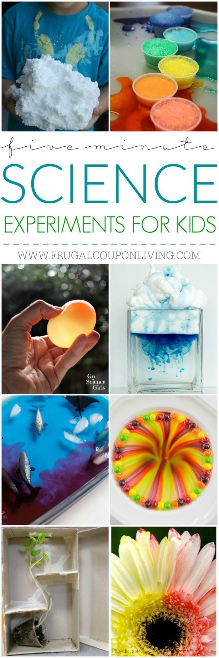 5 Minute Science Experiments for Kids and Busy Moms on Frugal Coupon Living. Geometric Bubbles, Glow in the Dark Volcanoes,