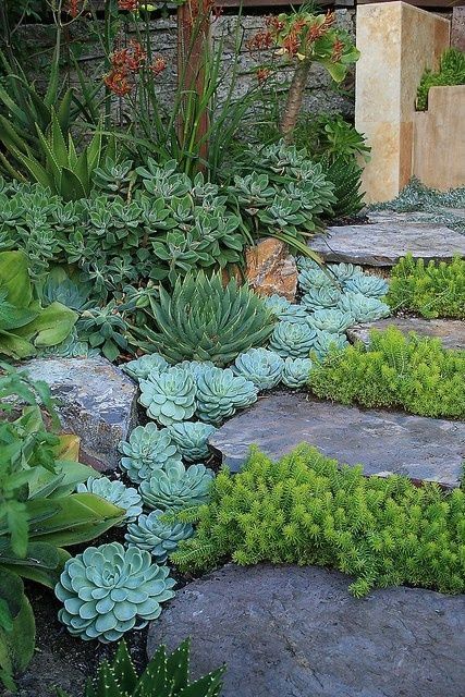 Creative DIY Gardening Idea # 20: Landscaping with Succulents