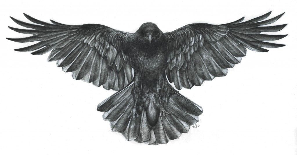Crow – Commission | Helen Lloyd Art