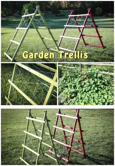 DIY Garden Trellis Free Plans And Tutorial | Handy – Today’s Gardens