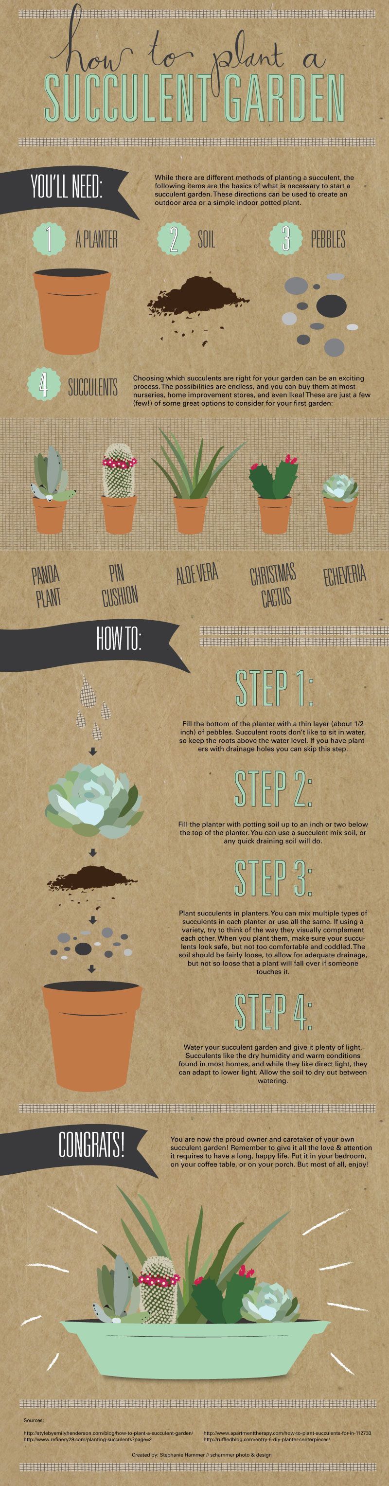 how to plant a succulent garden, the infographic @thesnugonline