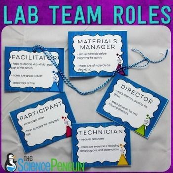 This Lab Team Roles Freebie contains information about using lab group jobs, 5 posters, and student role cards.Check out the Mad