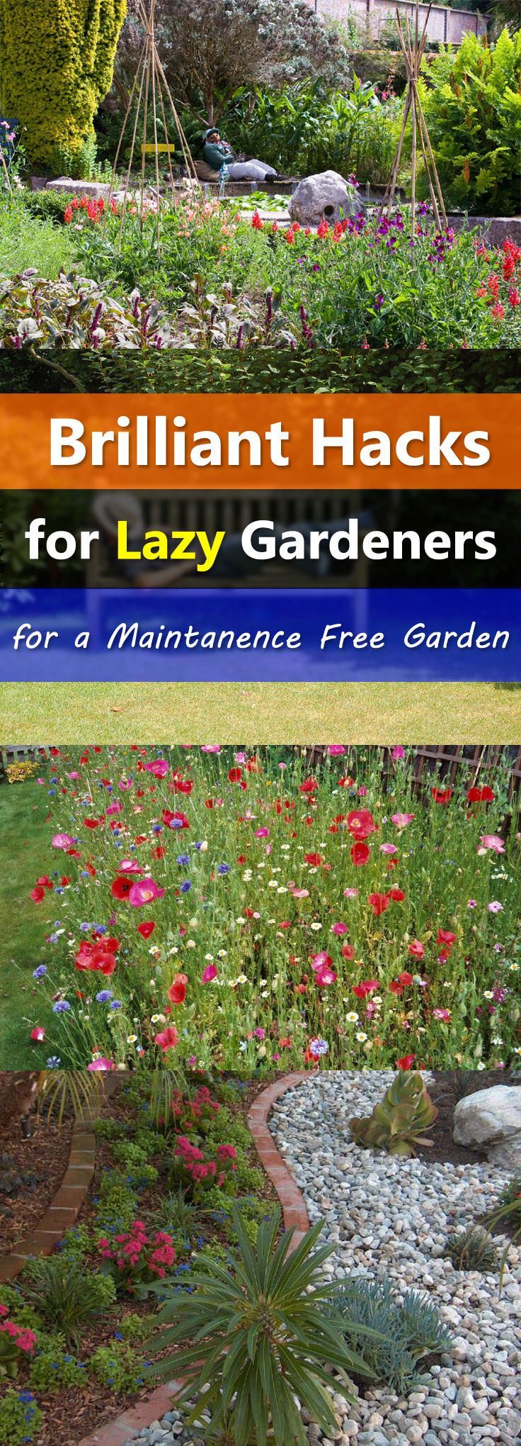 You love to garden but don’t find time to maintain it. Don’t bother, imply these easy landscaping tips to make a low maintenance