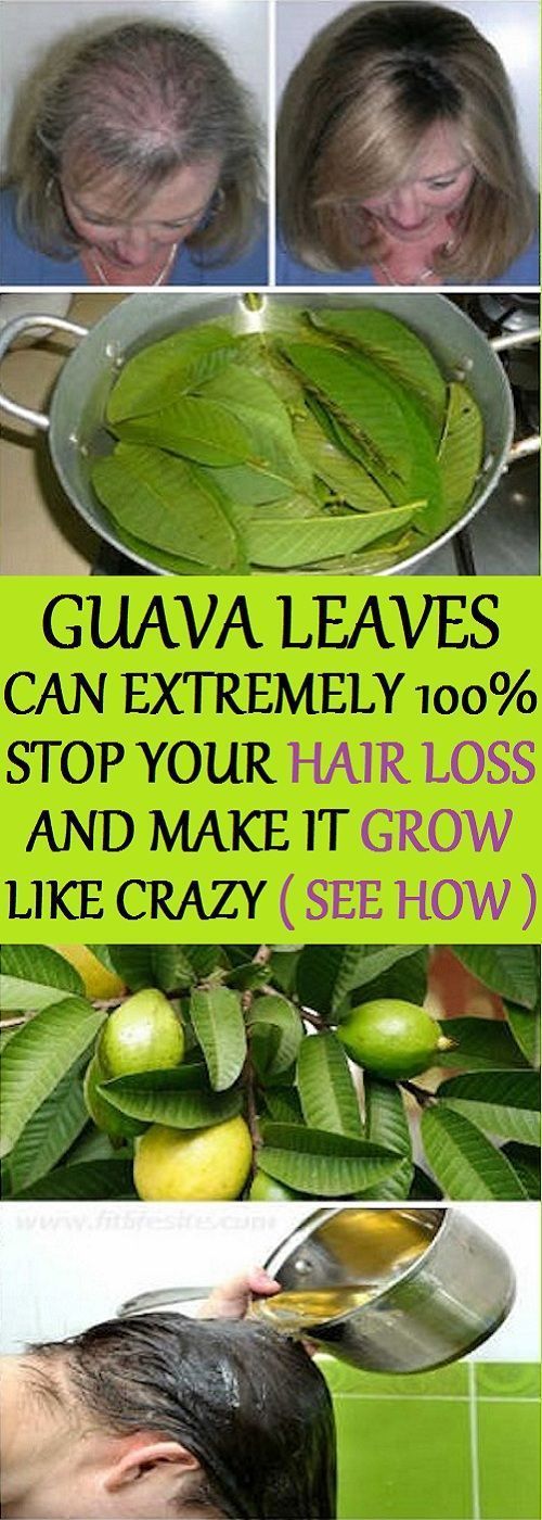 Hair – Guava leaves are a great remedy for hair loss. They contain vitamin B complex (pyridoxine, riboflavin, thiamine,