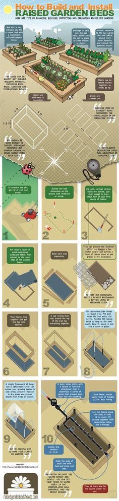 Raised Bed Gardening for Beginners: 10 Steps to Building Your Own Raised Garden Beds