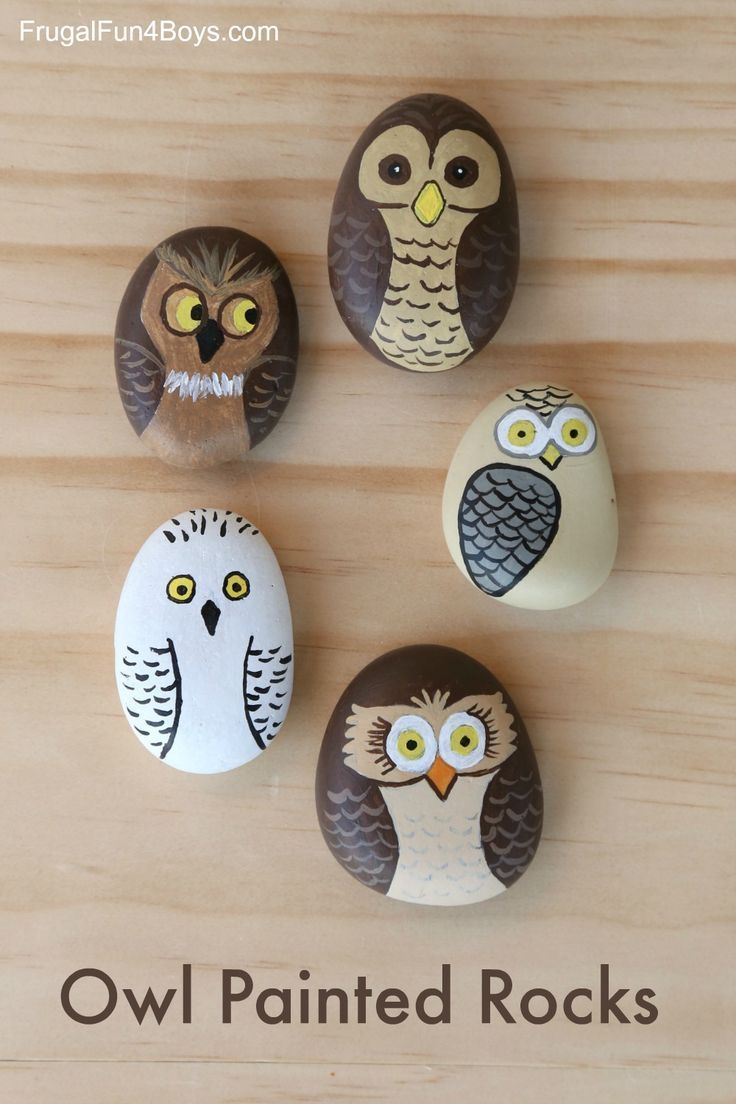 Owl Painted Rocks -   23 owl crafts outdoor
 ideas