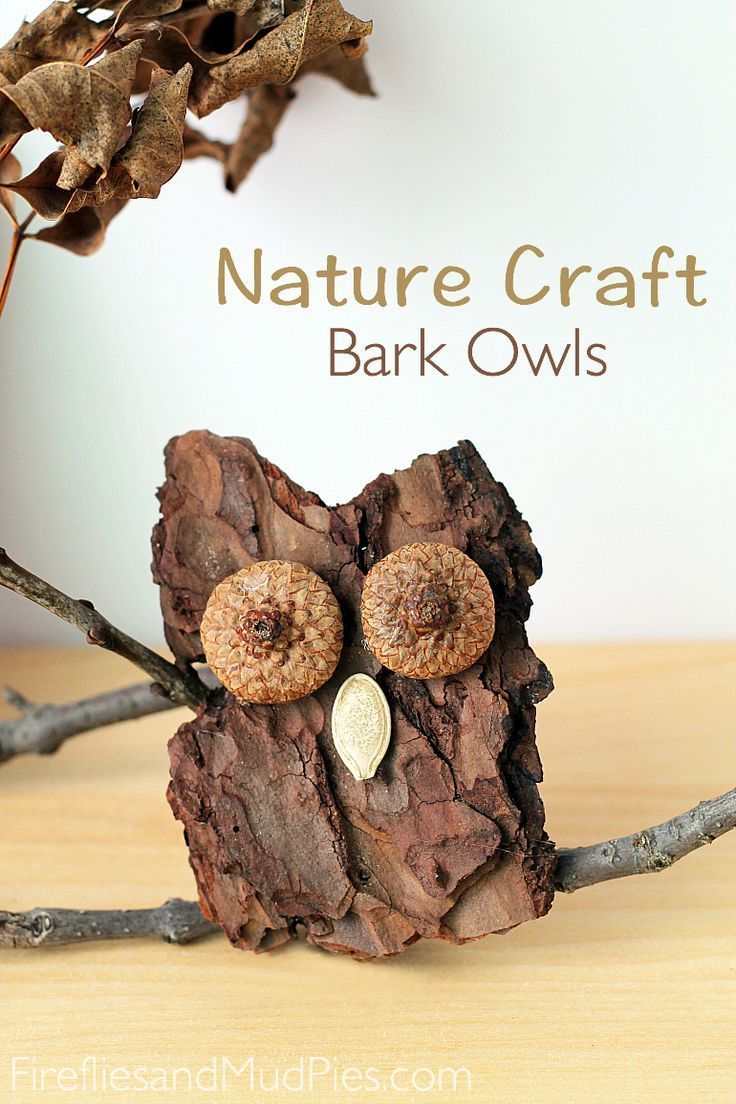 How to Make Bark Owls -   23 owl crafts outdoor
 ideas