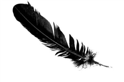 Symbol meaning of seeing a black feather: transition or big changes -   24 black feather tattoo
 ideas