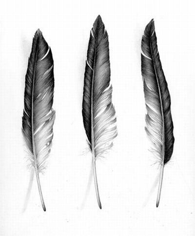 Didn't think of having the feathers fade black to white. That'd be gorgeous -   24 black feather tattoo
 ideas