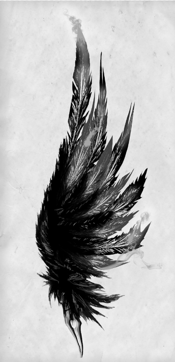 black and white feather -   24 black feather tattoo
 ideas