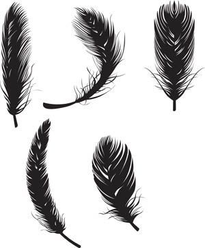 feathers | Feathers Vector Graphic | Free Vectors & Graphics -   24 black feather tattoo
 ideas