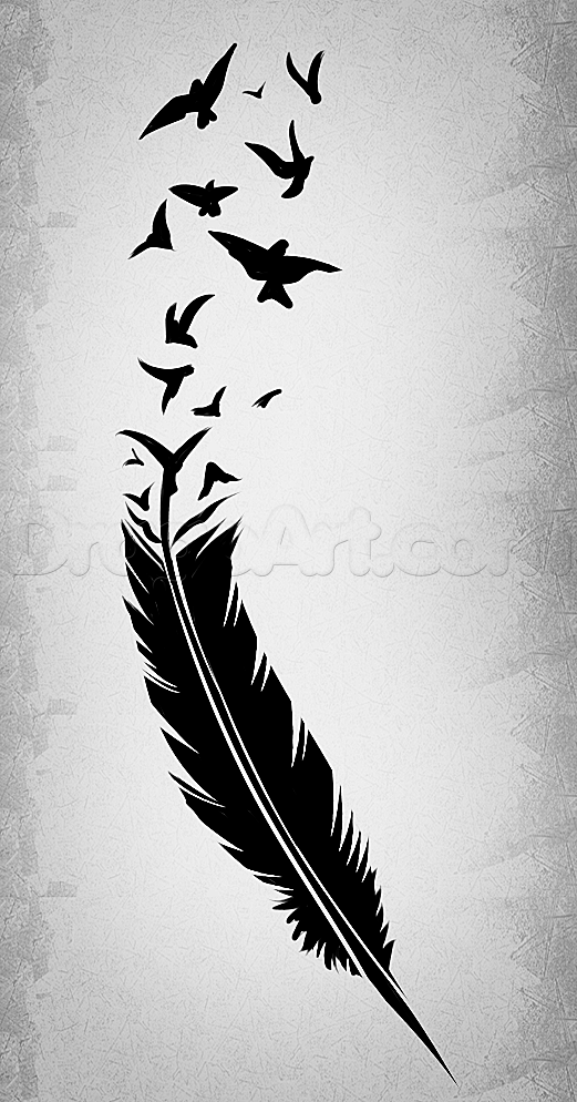 how to draw a black feather, black feather tattoo -   24 black feather tattoo
 ideas
