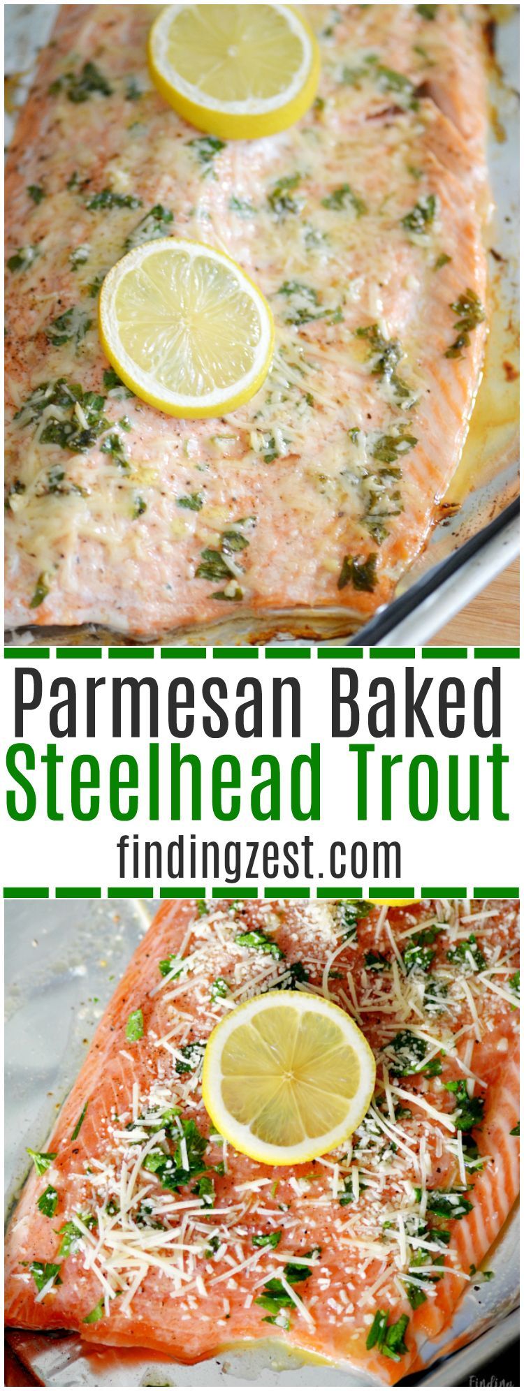Parmesan Baked Steelhead Trout -   24 fish recipes trout
 ideas