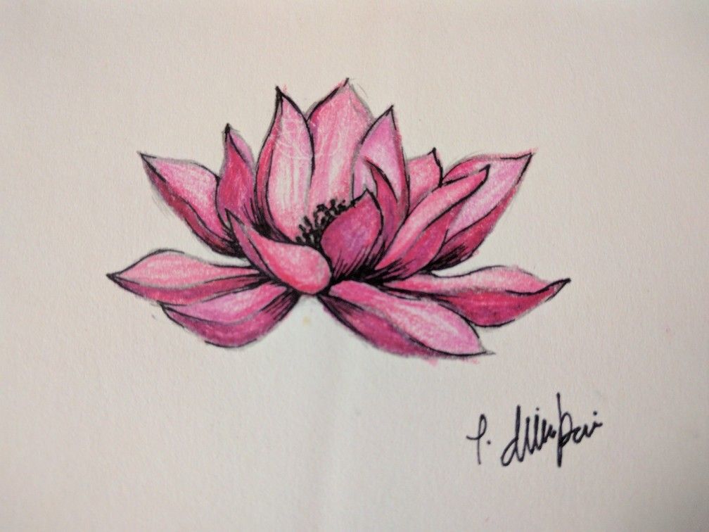 Pink Lotus -   24 pink lotus tattoo
 ideas