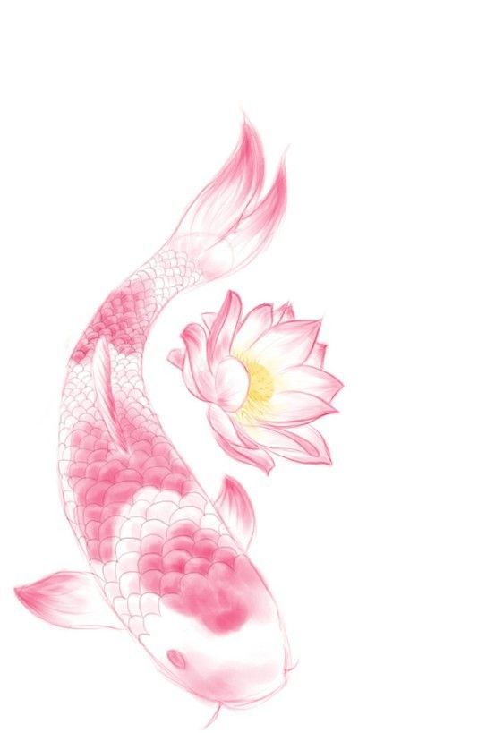 Never thought I'd like a Koi fish tattoo...but I'd totally get this one. -   24 pink lotus tattoo
 ideas