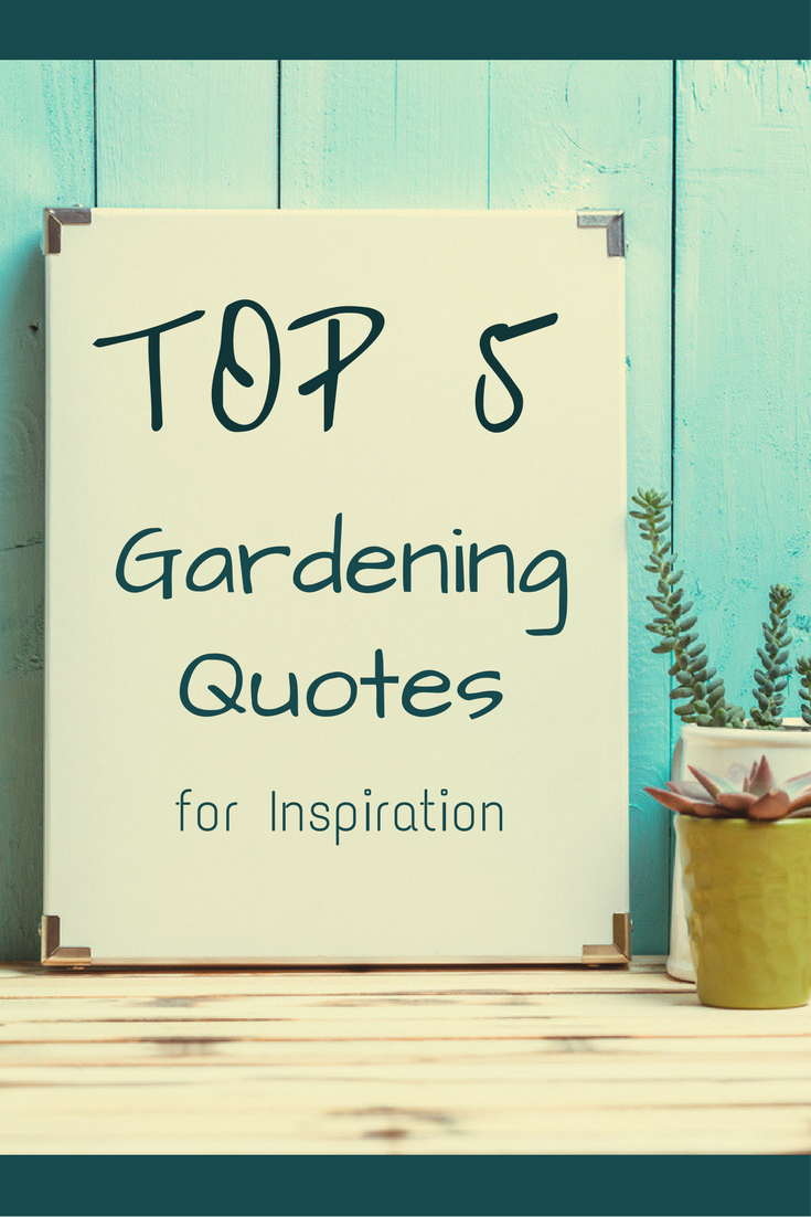 Top 5 Gardening Quotes for Inspiration -   25 garden quotes small spaces
 ideas