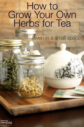 How To Easily Grow Your Own Tea Herbs -   25 garden quotes small spaces
 ideas