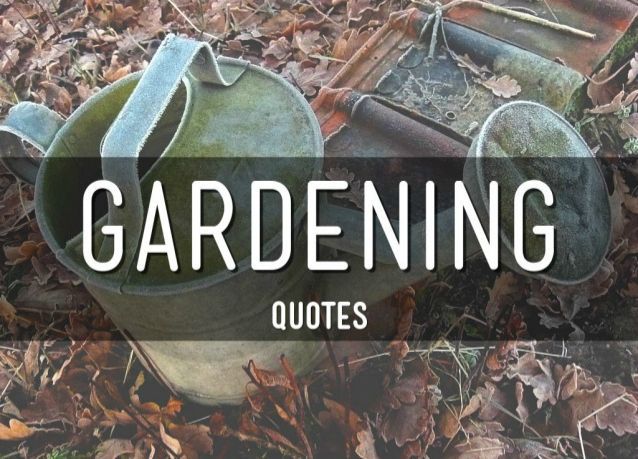 Gardening Quotes to Get you in the Mood for Spring -   25 garden quotes small spaces
 ideas