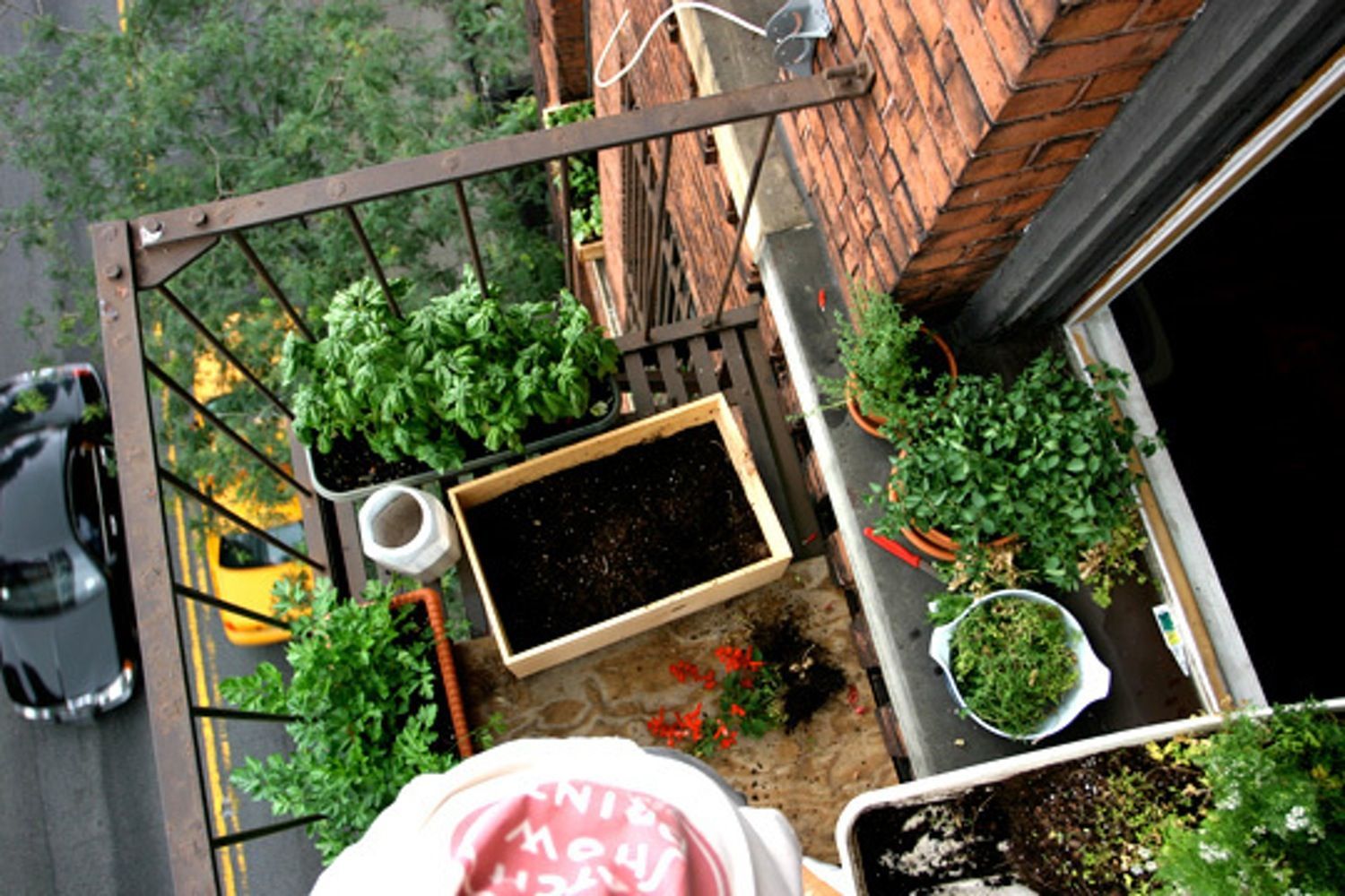 10 Inspiring Gardens for Growing Food in Small Spaces -   25 garden quotes small spaces
 ideas